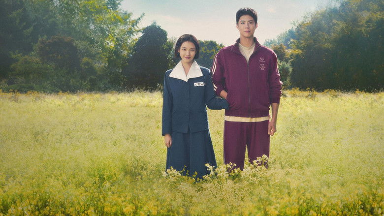 주말 몰아보기 좋은 드라마 추천 — 이틀이면 완주하는 완결작 6