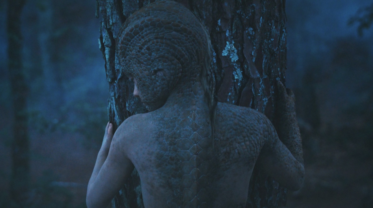 애니멀 킹덤 뜻 해석