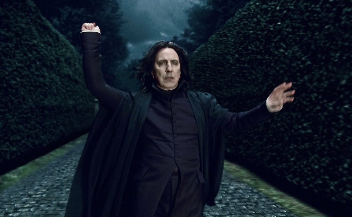 해리 포터와 죽음의 성물 1