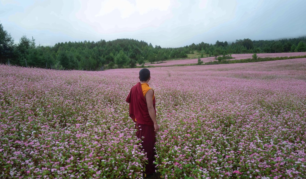 총을 든 스님 관람평 포토
