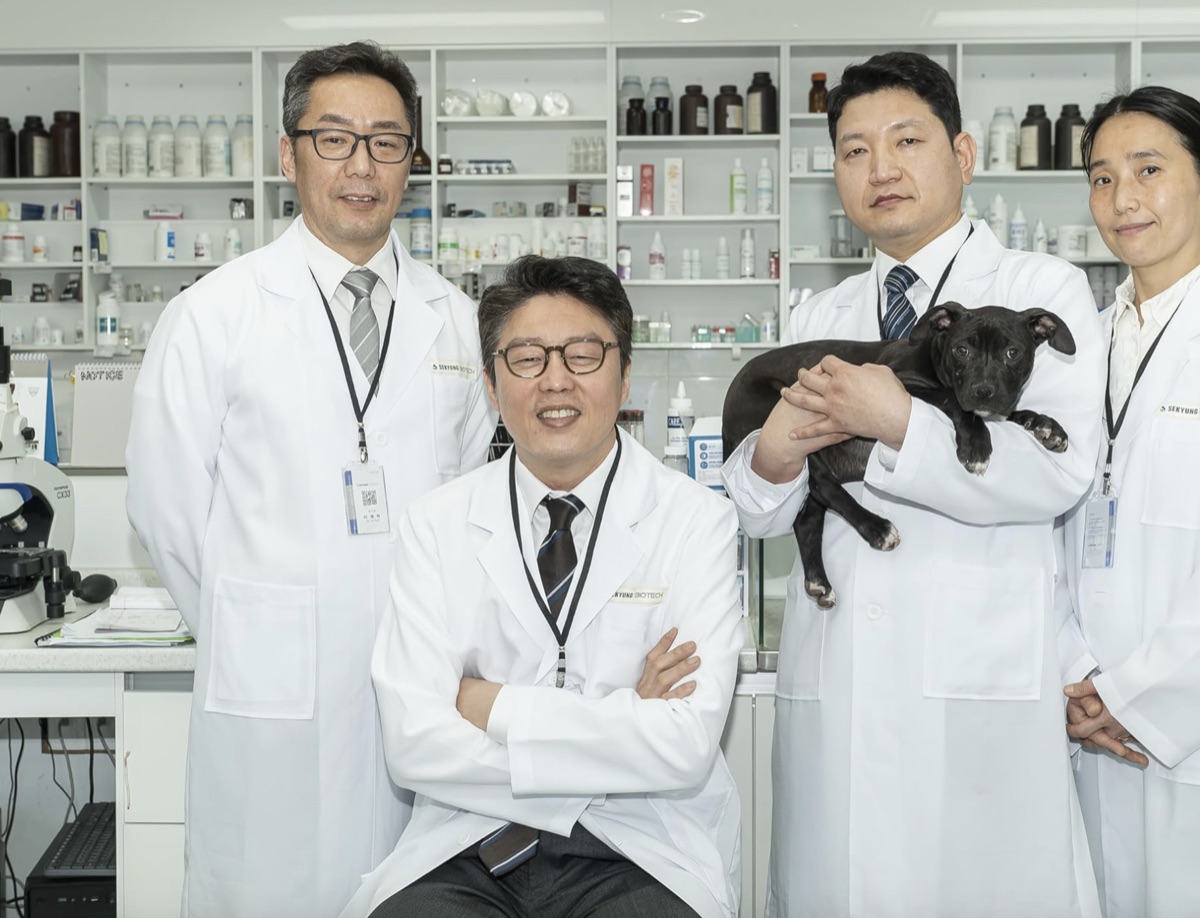 탈출 : 프로젝트 사일런스 결말 후기