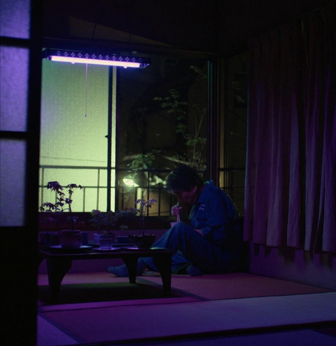 영화 퍼펙트 데이즈