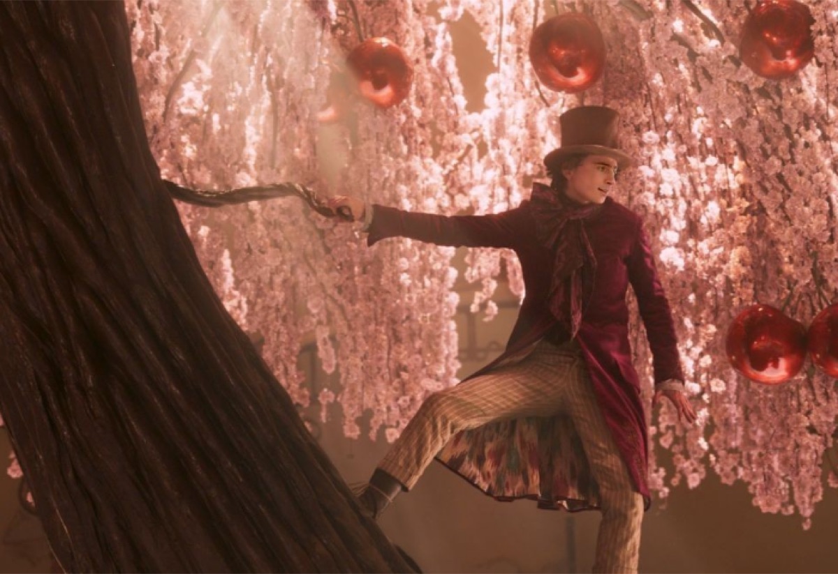 영화 웡카 티모시 샬라메