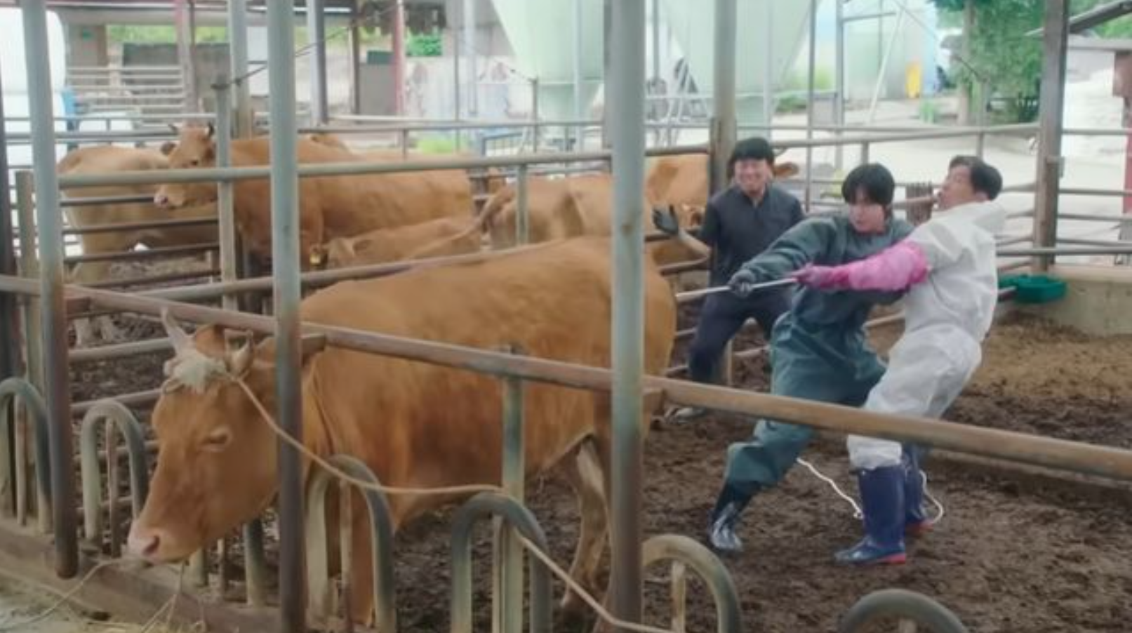 오늘도 매진했습니다 티저 포스터 — 안효섭 채원빈의 티격태격 케미